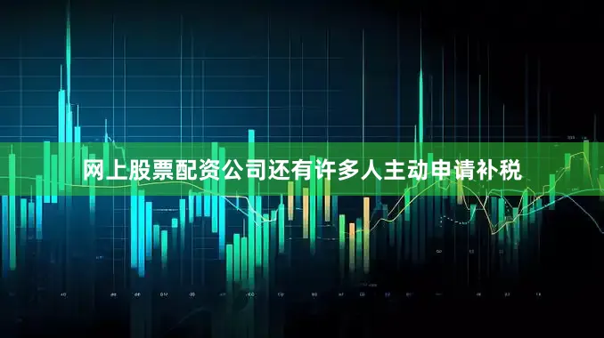 网上股票配资公司还有许多人主动申请补税